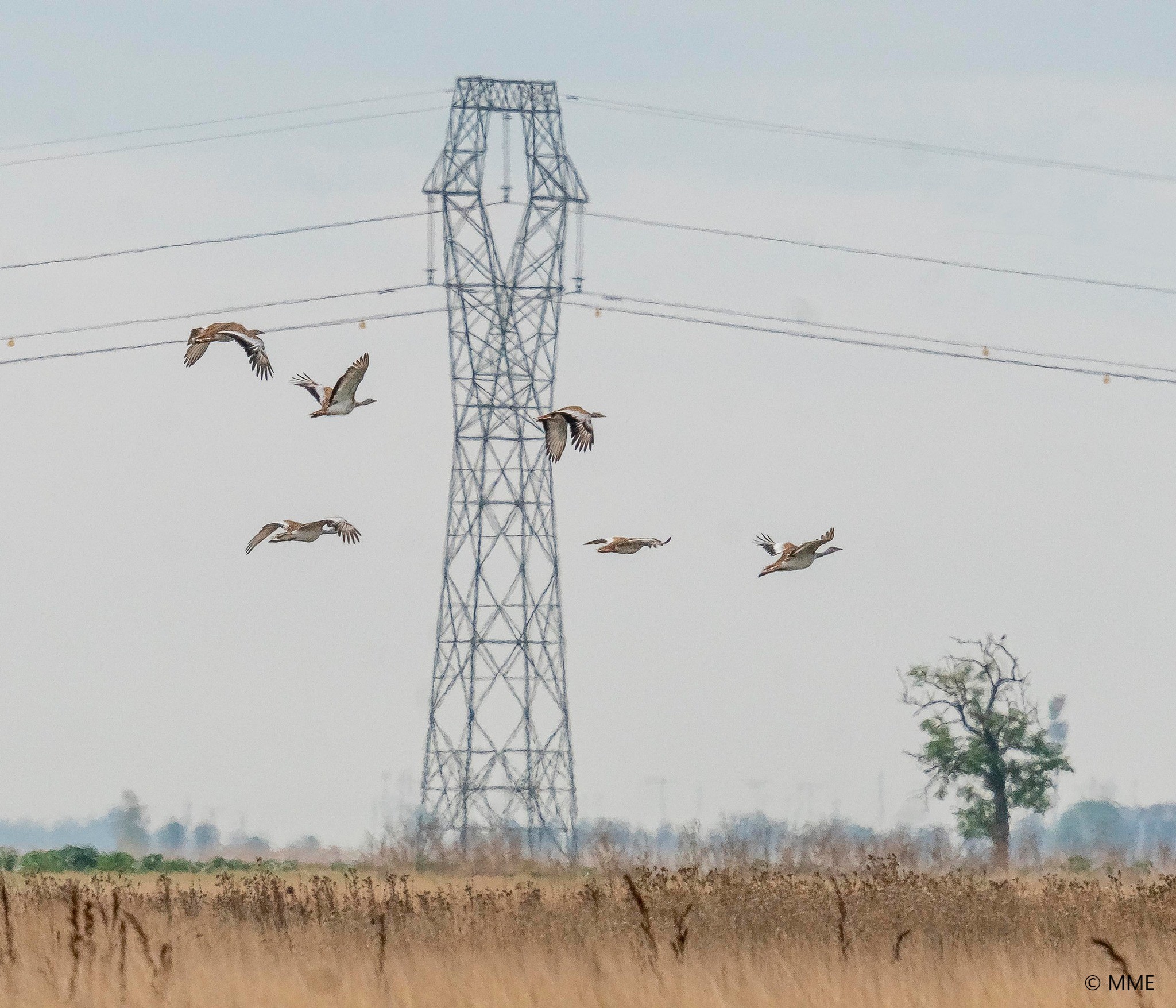 leitungskollision mme(1)