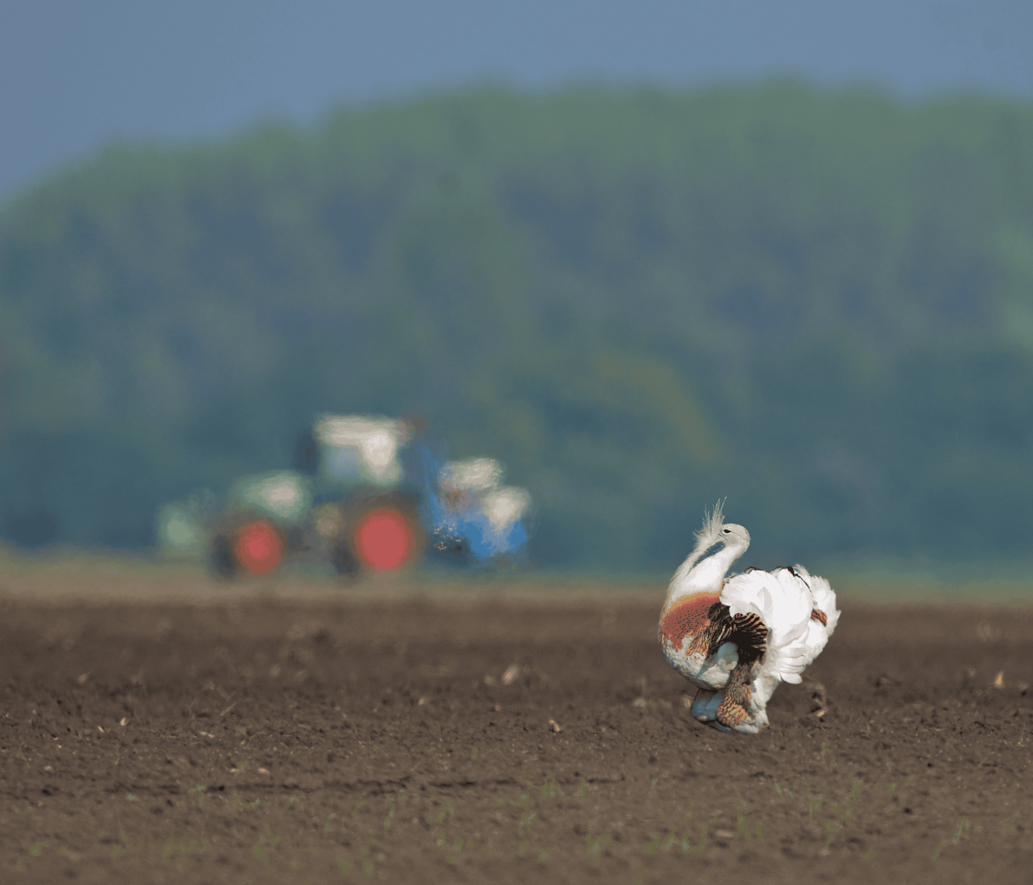 untitled design(221)