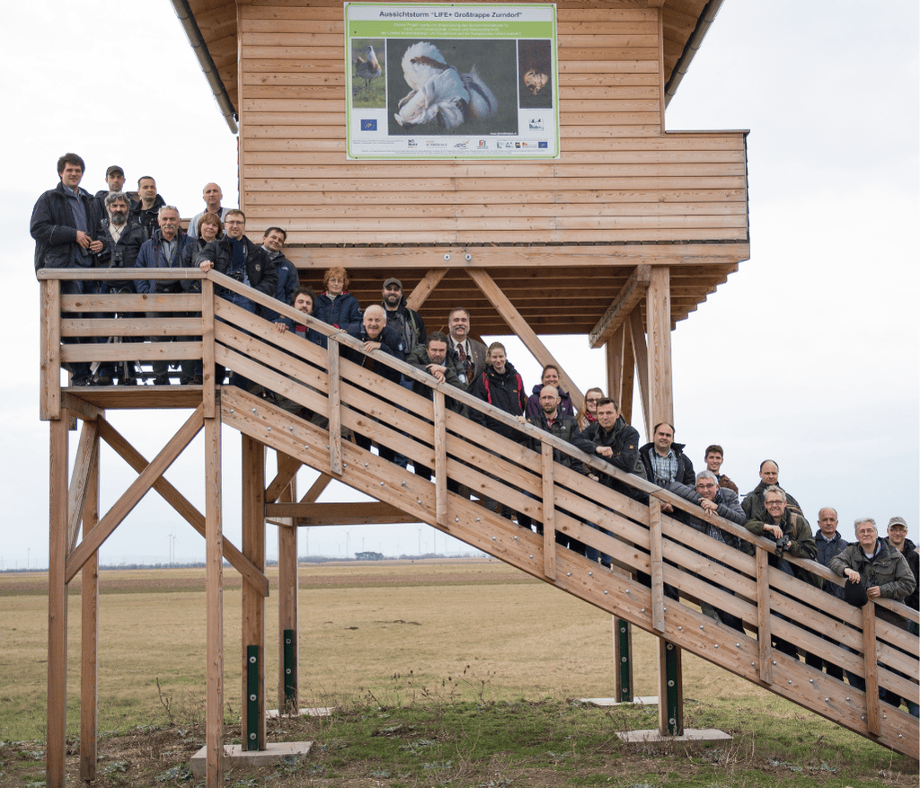 untitled design(226)