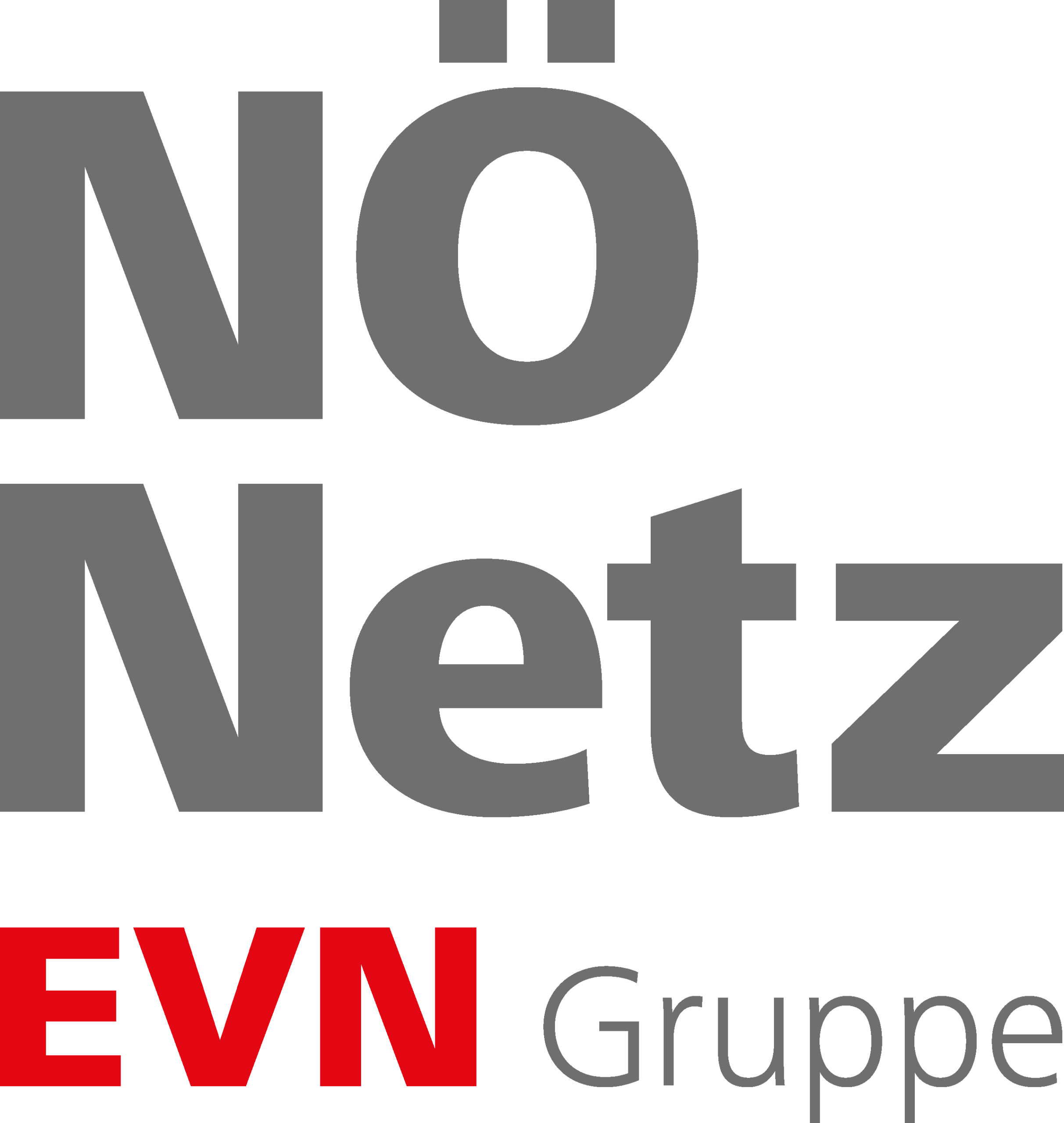netznoe logo 4c
