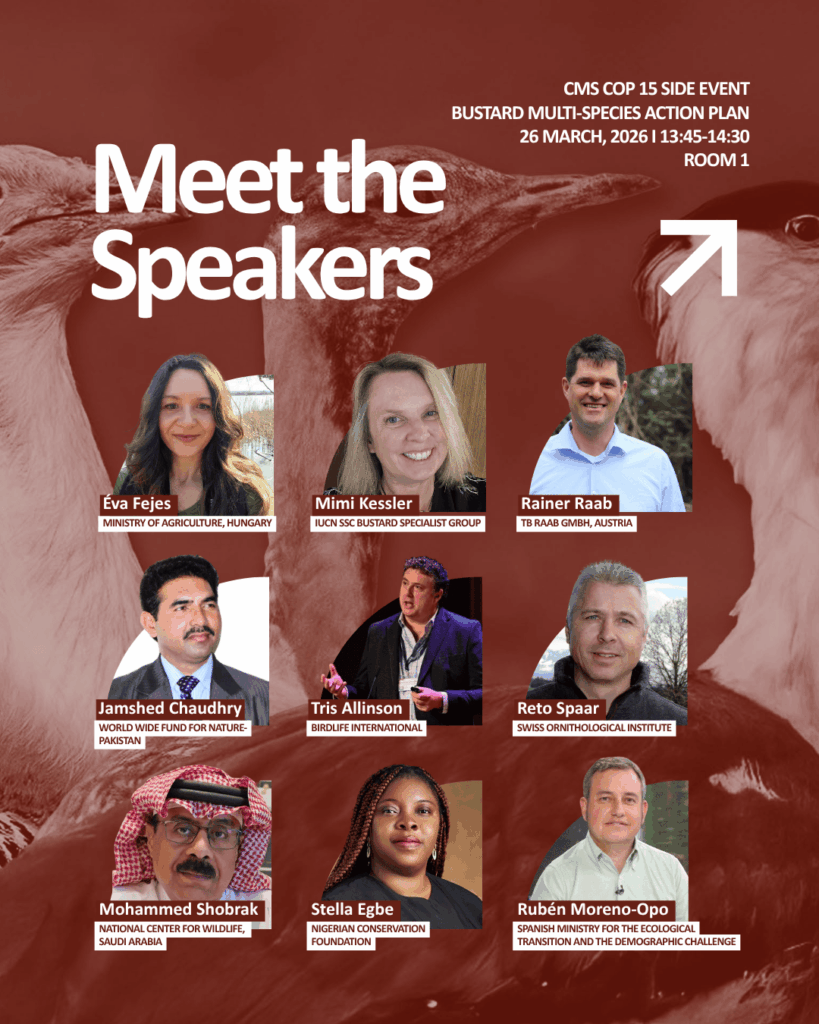 bustards without borders side event(4)