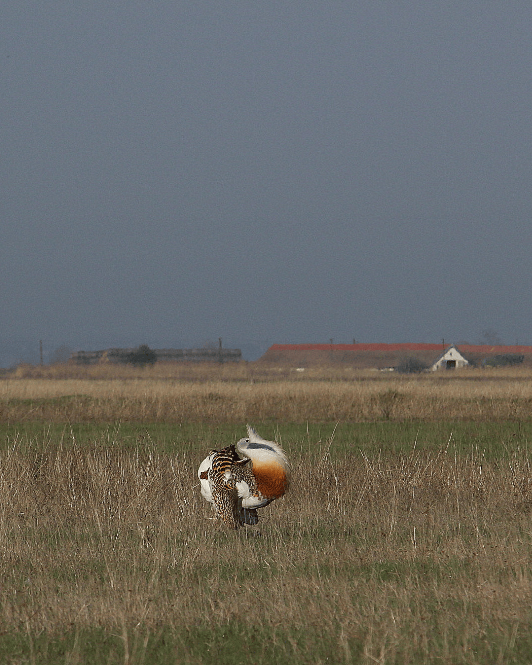 Habitat management Workshop