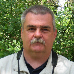 great bustard specialist group(16)