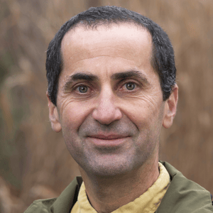 great bustard specialist group(19)