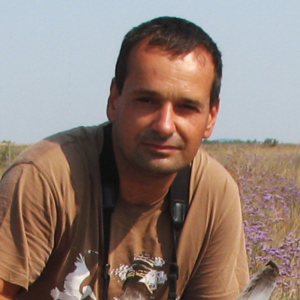 great bustard specialist group(24)