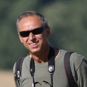 great bustard specialist group(27)