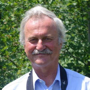 great bustard specialist group(4)