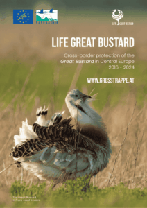 life gb brochure