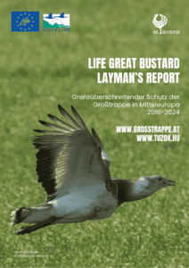 laymans report de(1)
