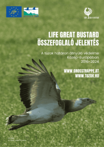 laymans report hu(1)