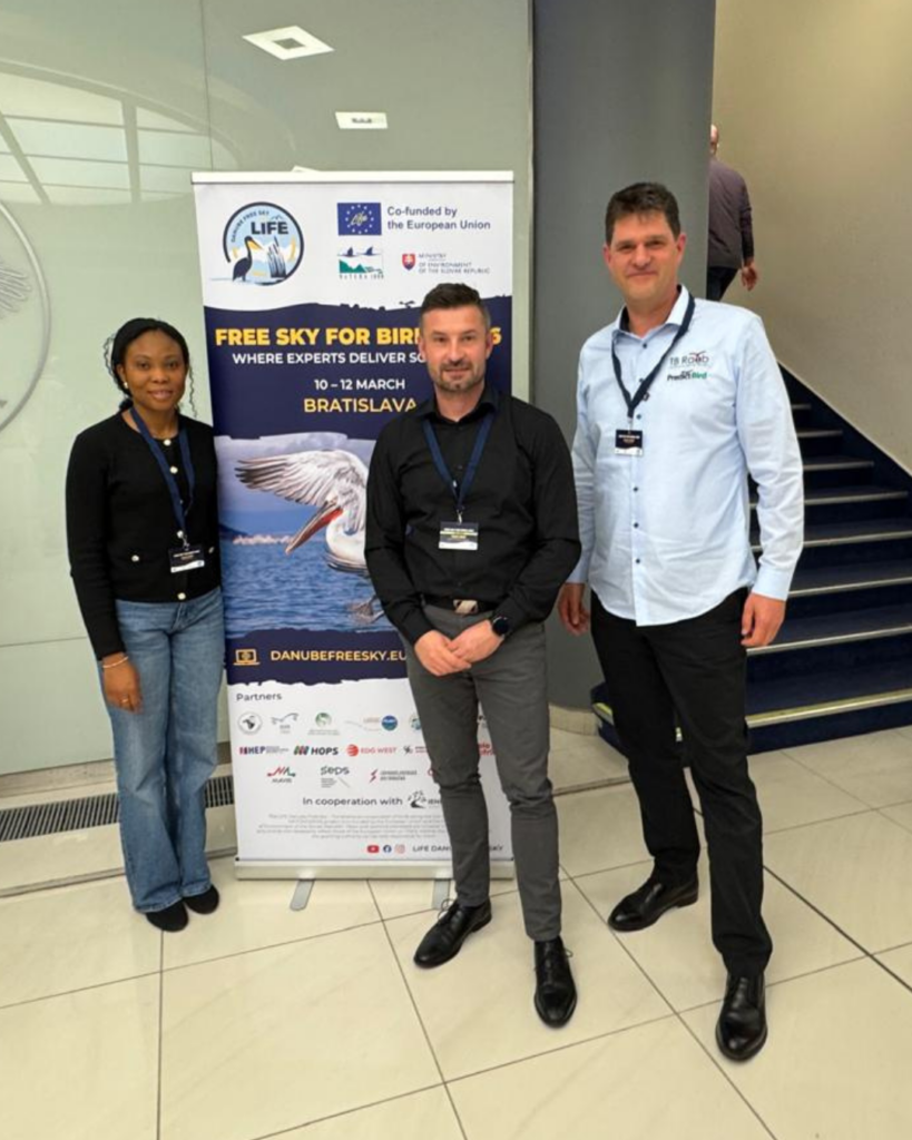 Free Sky for Birds 2026 Rainer Raab, Mabel Narh and Marek Galis