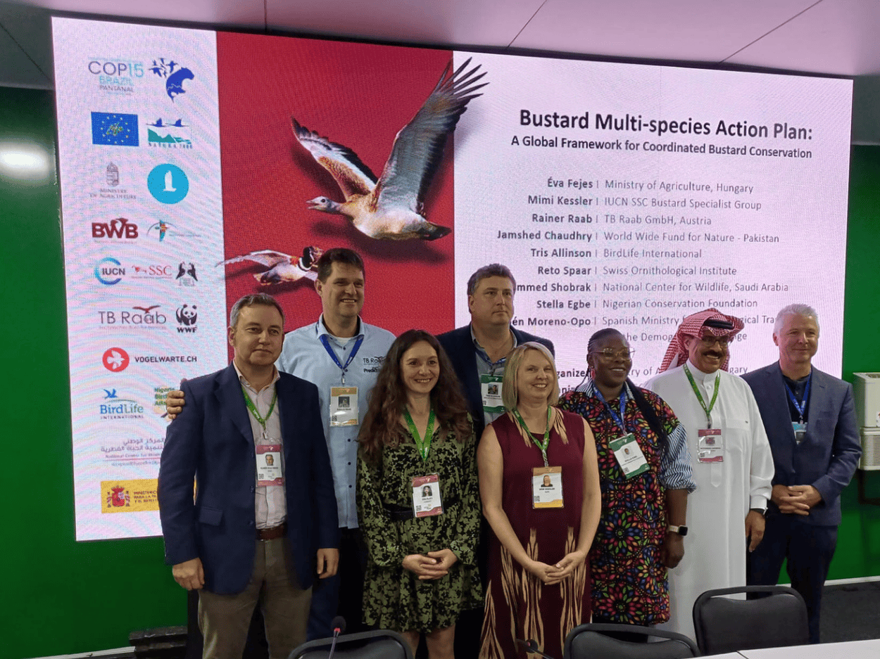 untitled design(255)