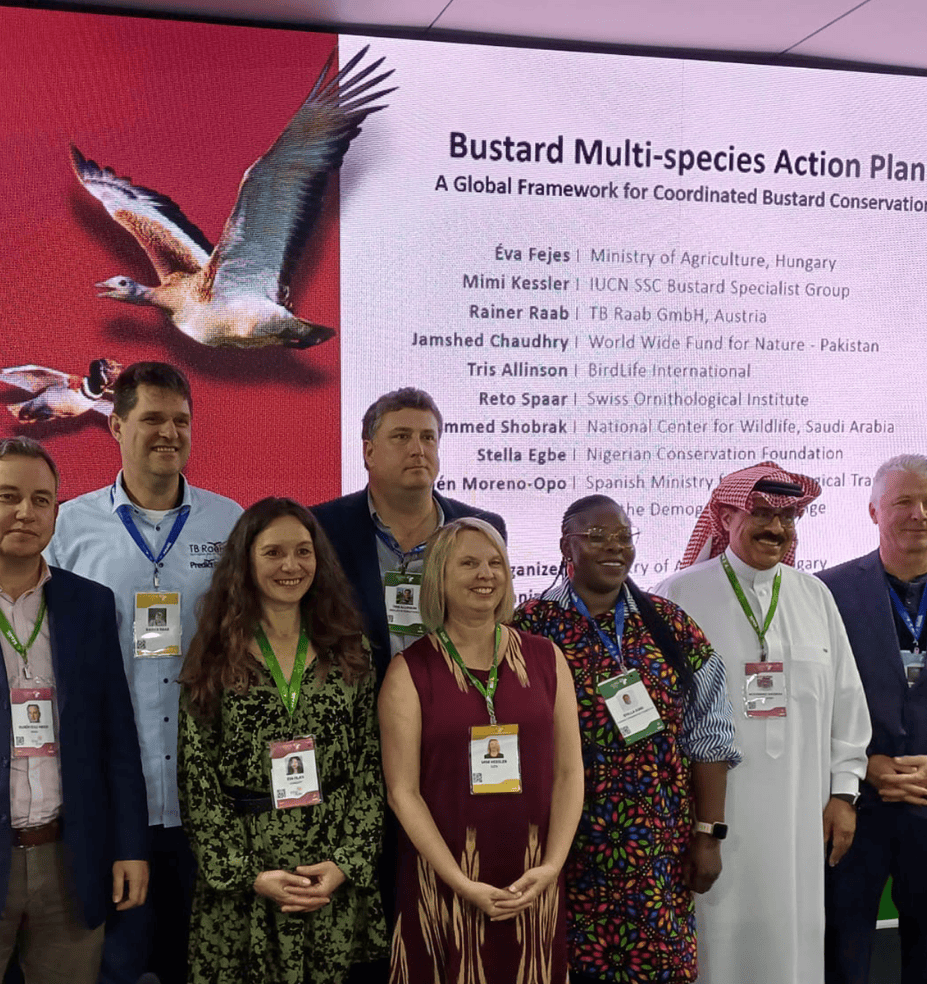 COP15 Side Event Highlights Progress for Bustard Conservation