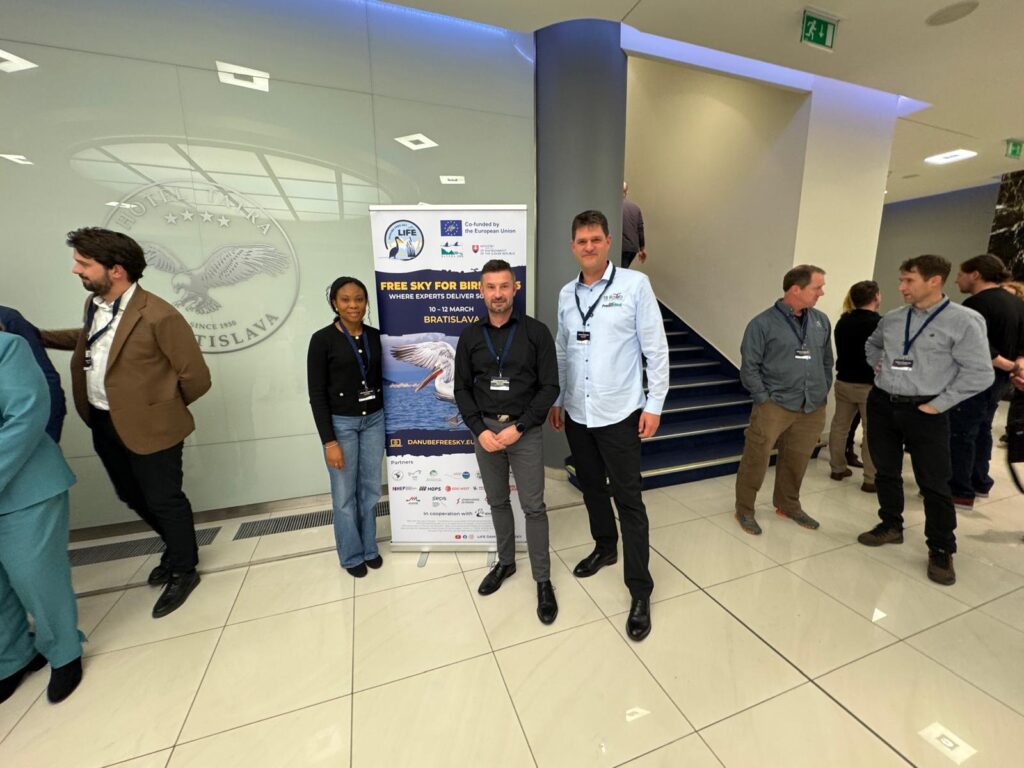 whatsapp image 2026 03 12 at 18.36.08