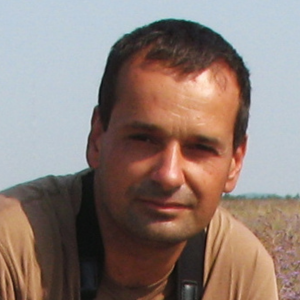 Attila Nagy1