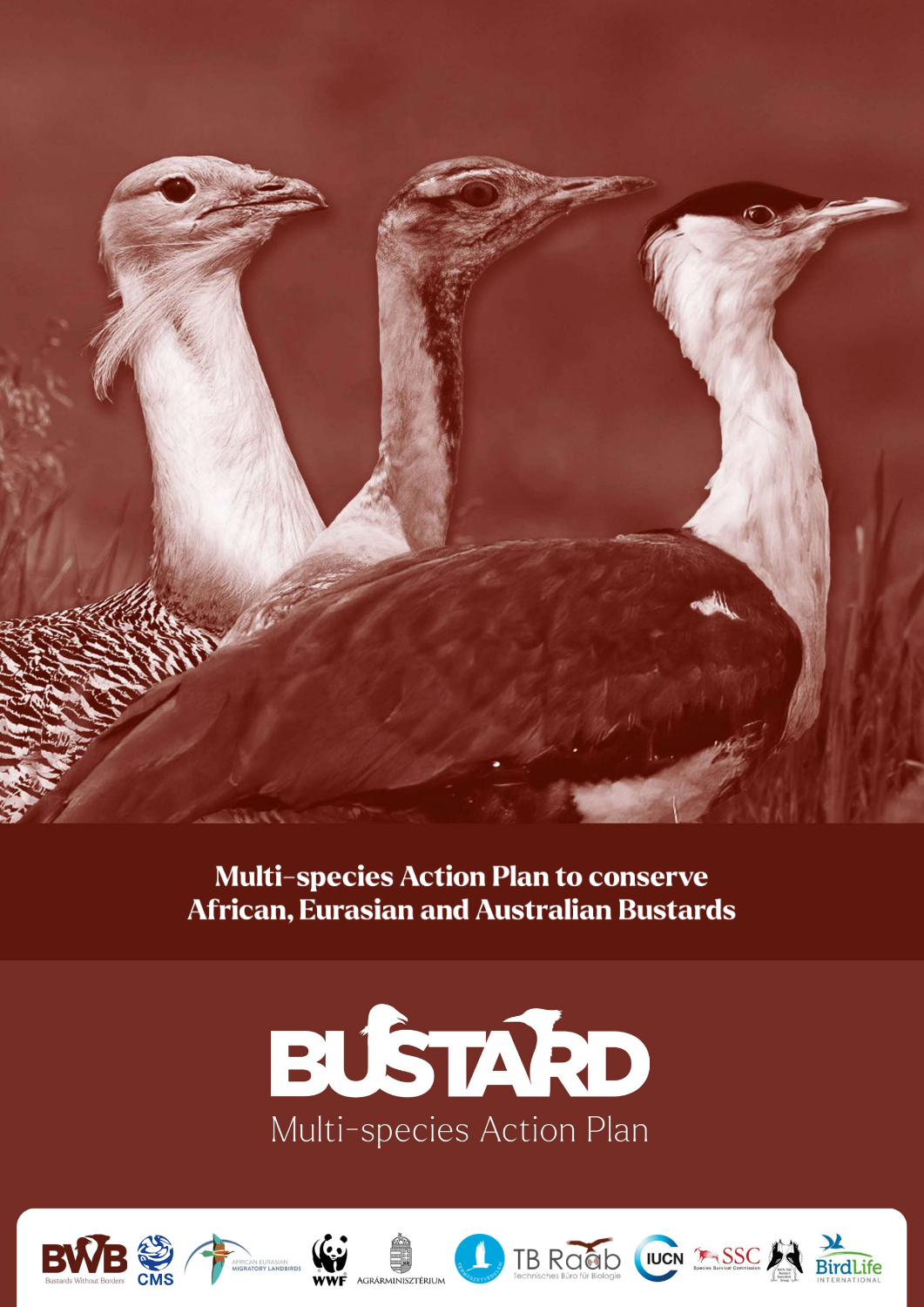 CMS COP15 Adopts Landmark Global Action Plan toSafeguard Bustards Worldwide