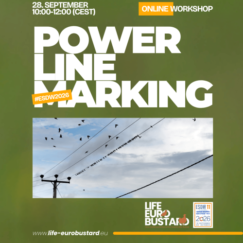 Online Workshop: Power Line Marking